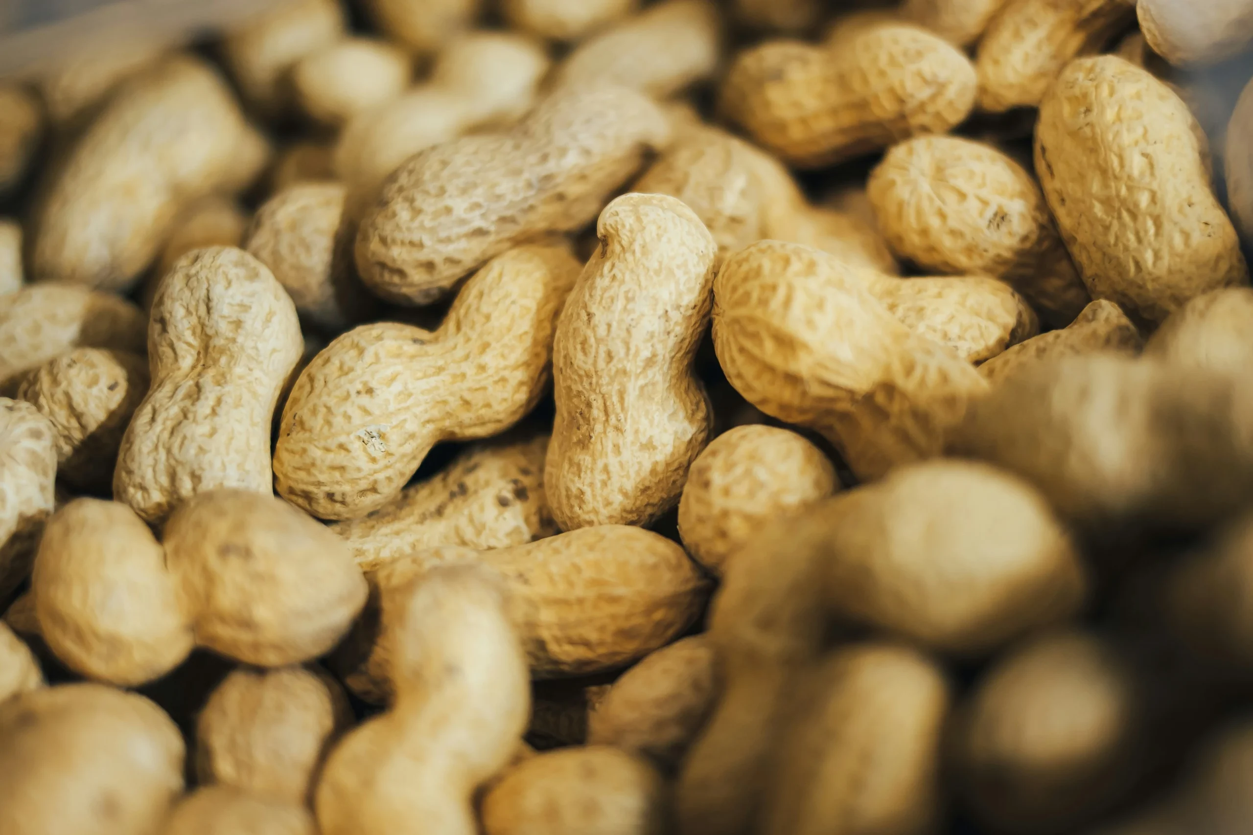 Ground Nuts Peanut sanjeeda International